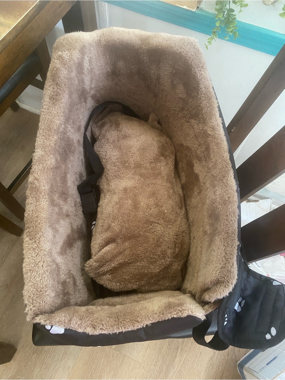 Pet Safety Bed for Car Plush Brown Pet Carrier Bed - Cozy Dog Crate Insert - Picture 2 of 7